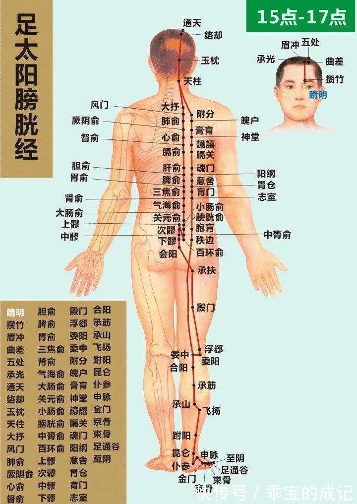 手臂|秋冬进补，来年打虎！中医3招先排湿热后进补，把阳气补进身体里