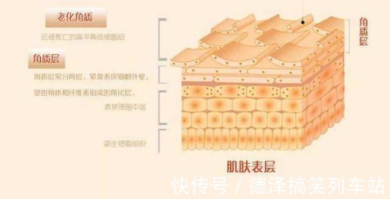 油炸食物|皮肤的“去黄剂”已找到，没事敞开吃，消除黑色素，美白去黄