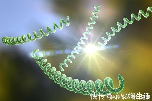 慢性胃病|感染8亿国人!幽门螺旋杆菌有多难缠?提醒:多喝1水,多吃2物