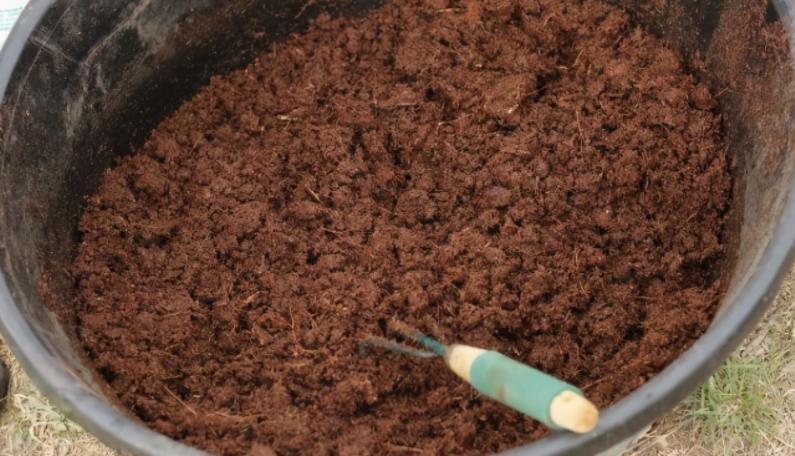 养花|路边土、园区土养花不够肥?掺点它,肥得流油,养啥旺啥