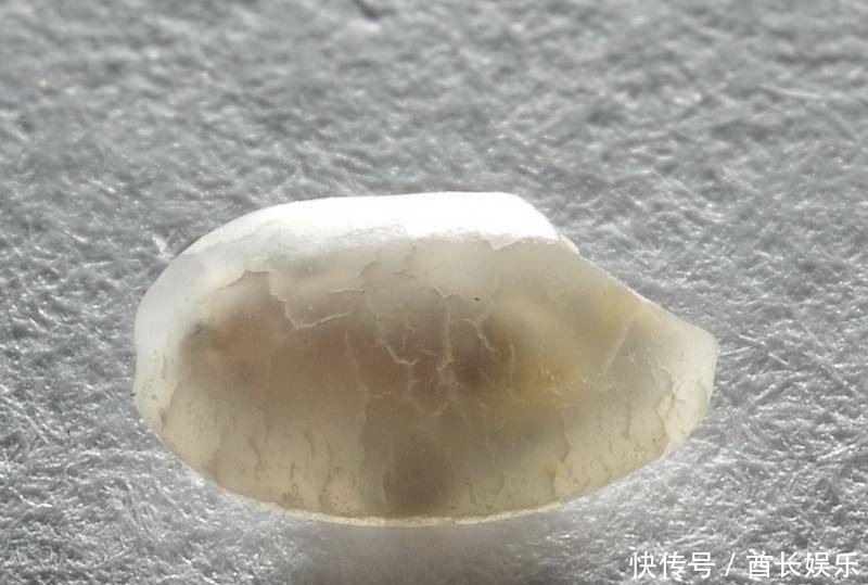 米放久了会有虫子,那这些虫子都是哪里来的呢