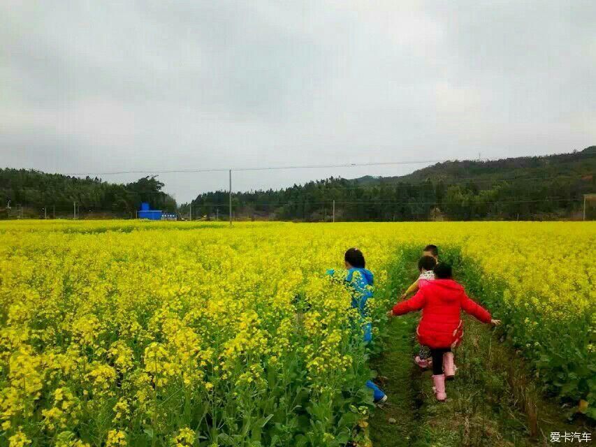 浙江|爱在山花烂漫时