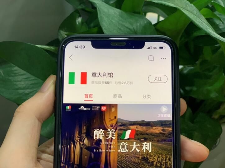 中国|拼多多上线意大利国家馆：47万网友云围观，带动葡萄酒销量暴涨160%