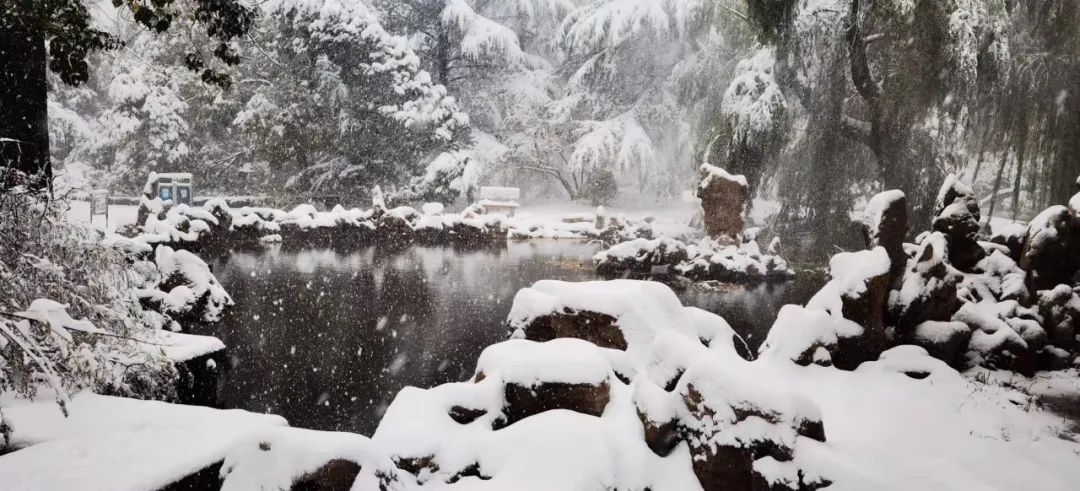 山东交通学院|千里一色！山东高校的“初雪”遇上“立冬”，浪漫绝绝子！