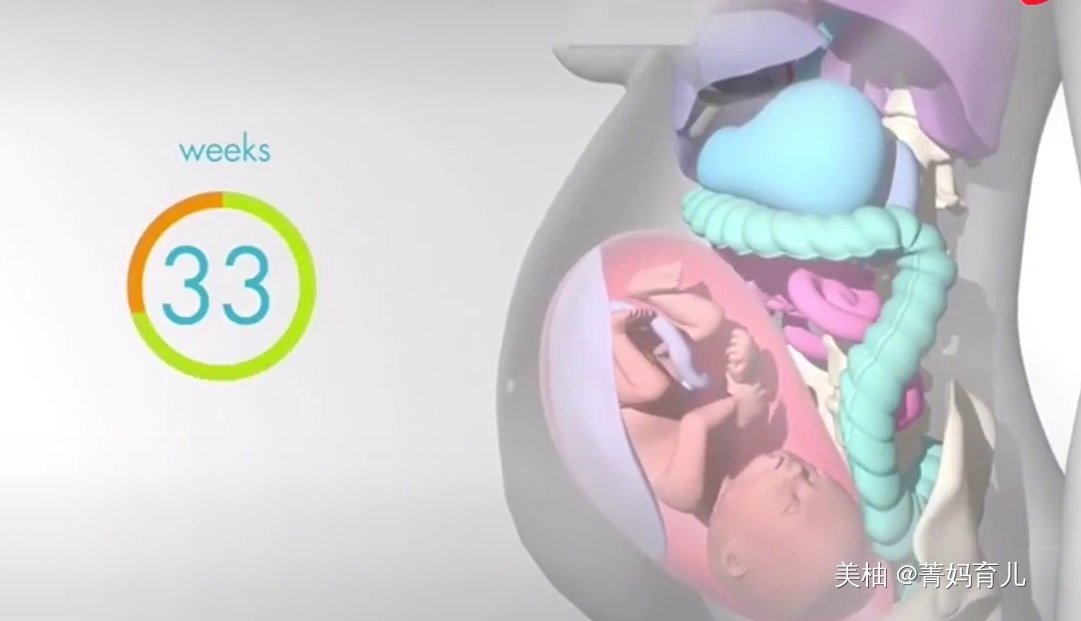 血液|怀孕之后,胎儿把妈妈的内脏挤到哪去了?十张高清图带你了解