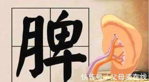 脾胃|脾虚百病生!一文区分脾气虚、脾阴虚、脾阳虚,辨证调理疾病远离