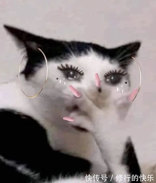 |搞笑表情包|来嘛~