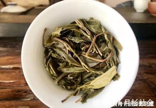 茶叶渣直接倒了真可惜,不如这样处理,当成养花肥促进开花