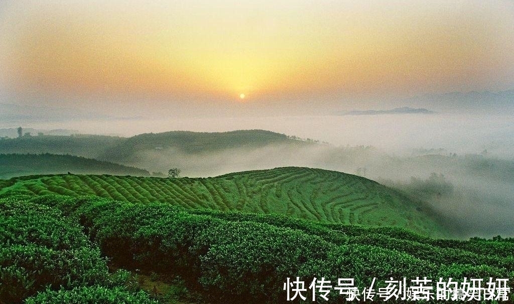 故都的秋#五首最美茶诗:茶香馥郁环绕,品茶亦如品人生