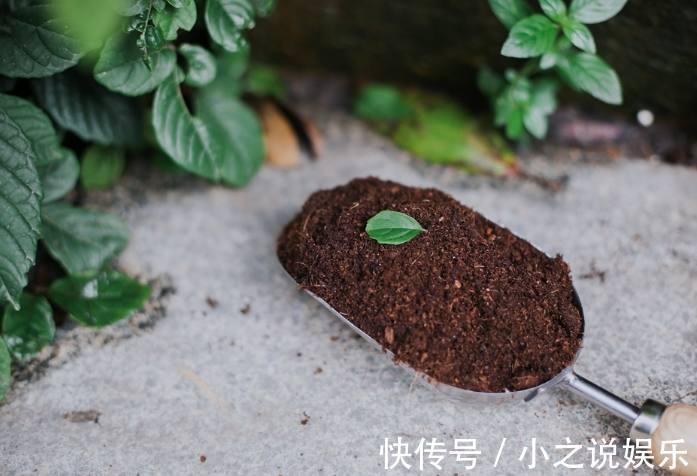 南酸北碱|不是什么土都能养花！30年老花农这样配土，网友发现细节有猫腻