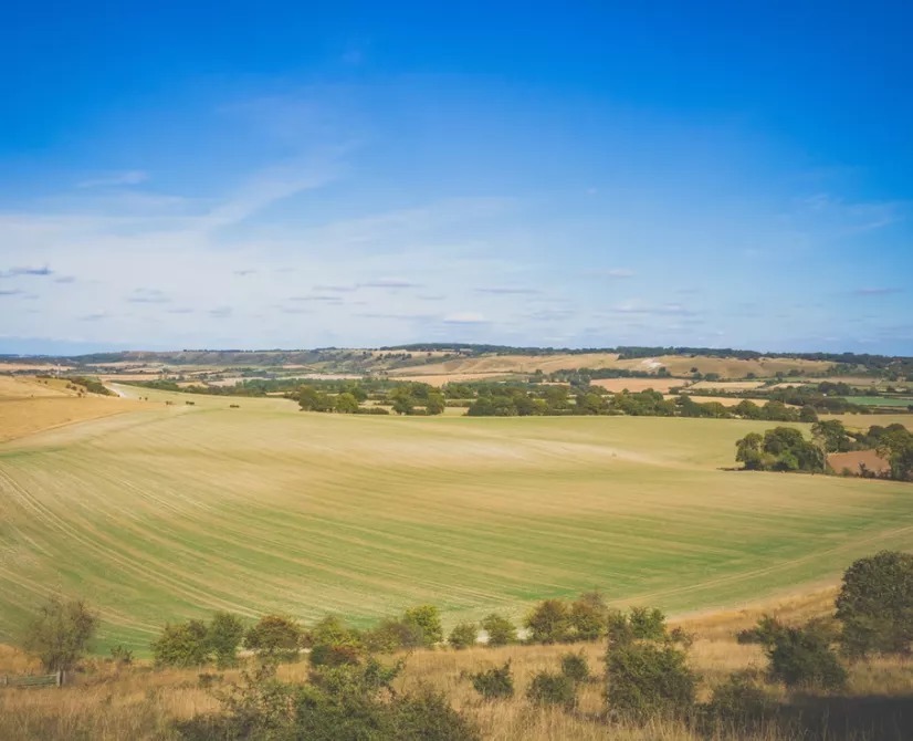 欧阳修！“唐宋八大家”的经典名句，会背一半算你厉害