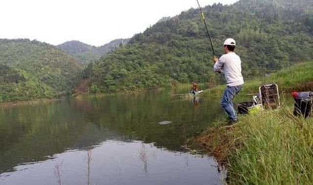 种果树|老钓手这绝招果然够狠“对付”大草鱼绰绰有余，后悔现在才知道