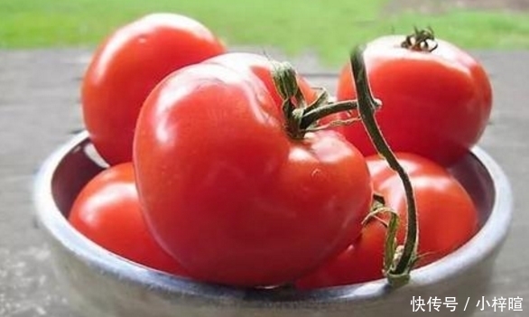 如何分辨西红柿是否有“激素”？教你一招，轻松避开