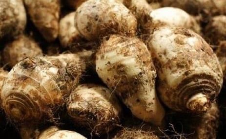 沒(méi)事吃點(diǎn)芋頭，4個(gè)好處收入囊中，不愛(ài)吃的朋友可惜了！