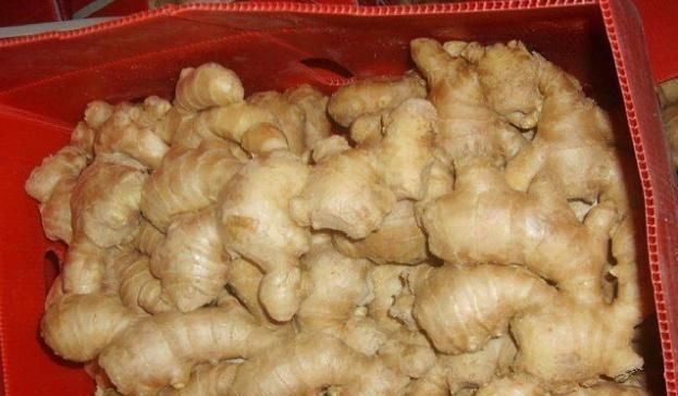 生姜别再放冰箱了,教你一个小妙招,能保存半年,怎么放都不干