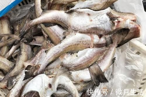 冬天进补，牛羊肉都不如它，6元一斤，简单一蒸，营养全面又美味