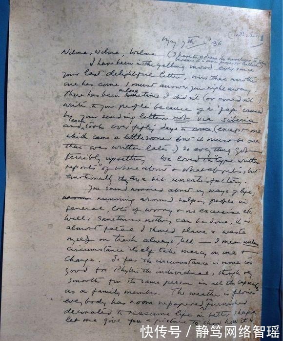 英文#植物大战僵尸:它们能够取代坚果家族?站着不动都能消灭僵尸!