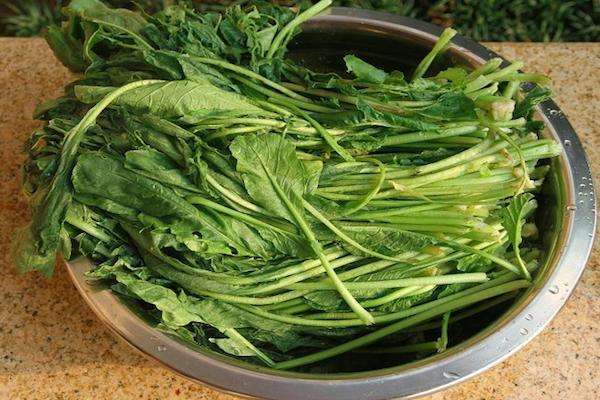 凉拌萝卜缨|含钙量极高的一种蔬菜,很多人傻傻不知,都是只吃根不吃叶