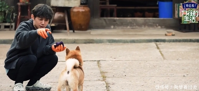 向往的生活|热播的“向往5”,腊肠配烤鸡,都是市民向往的野味生活