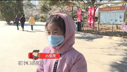 花开|迎春花开 欢度安静祥和年