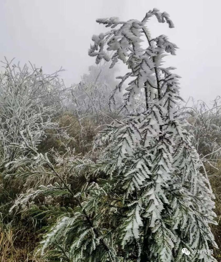 惊现|黔西南这个地方惊现“冰河世纪”！冰刀凝剑迎风舞，洁白无暇仰天啸！