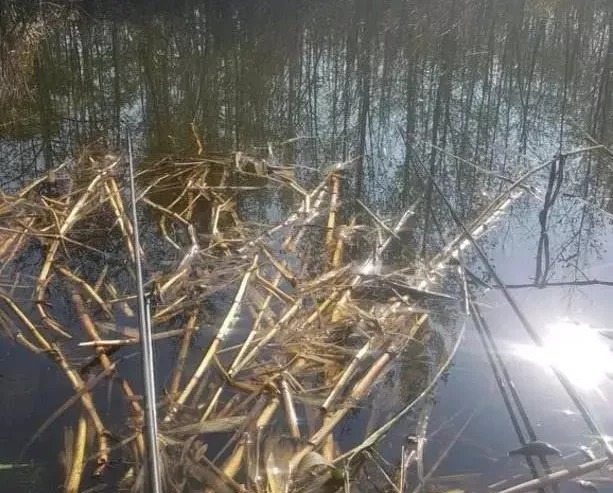 冬季野钓只会钓草边?其实这些地方比草边更“藏”鱼,老钓友都在偷偷爆护!