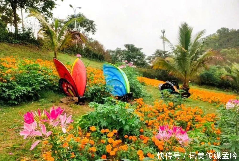 春雨到来，百花盛开！来一场鸟语花香的节后错峰游吧～