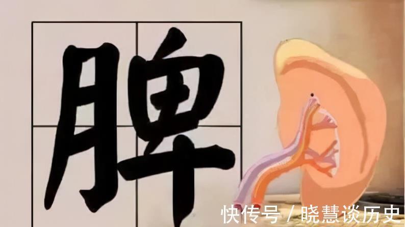 万精油|黄芪泡水好处多多,但这3种人尽量不要喝黄芪泡水,平时要注意