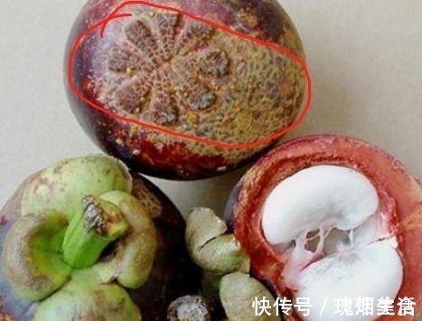 挑山竹有窍门，30年老果农教你4招，个个肉厚核小口味超甜！