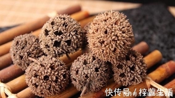 农村|在农村生活数十年,刚知道“路路通”是中药,很多人不认识它