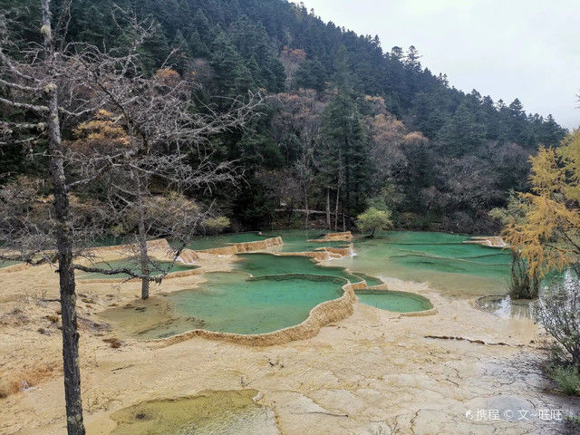 国家旅游局|小学课本里的五彩池果然名不虚传