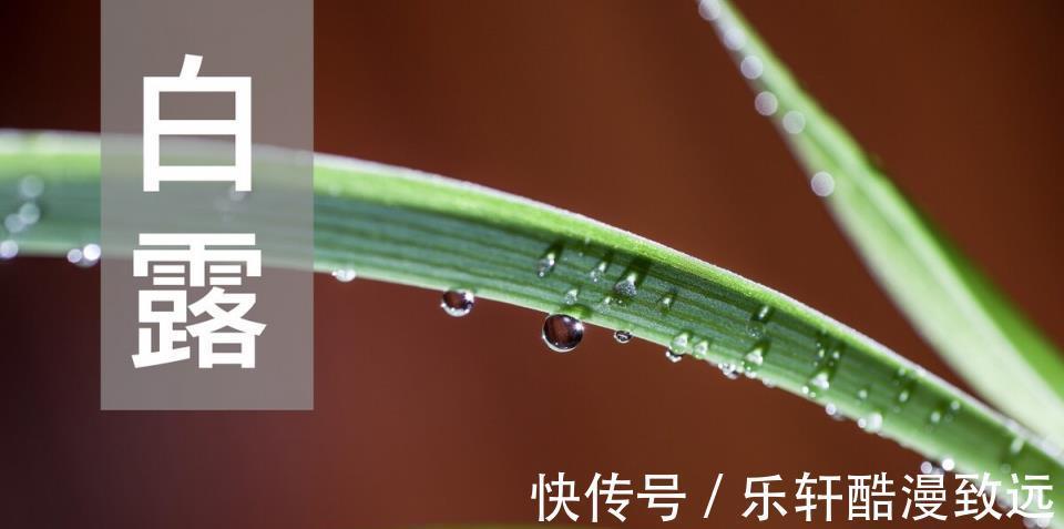 美食|明日白露,牢记这5个传统饮食习俗,美食相伴,好吃又健康