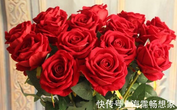 大家见过“卡罗拉玫瑰”吗，色调纯正，鲜艳照人，观赏性价值极高