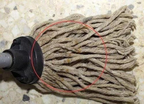 柠檬水|拖把用久了,不仅脏还有异味只需用“它”泡一泡,洗完像新的