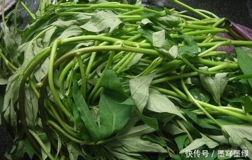 农村的这种野菜，能抗胃部溃疡，赶紧收藏在村里找一下