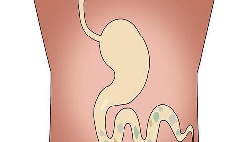 公认的长寿特征,对照自查一下,若全占,寿命不会短