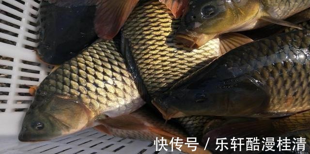 钓鱼这么多年,被70岁老大爷,给上了一课