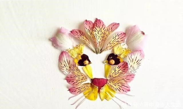 爱情|趣味测试你喜欢哪张花草拼贴画,测在爱情中你有多幸福