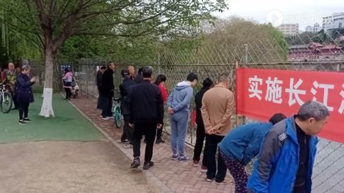 重庆一河道大量鱼群逆流而上，聚集在水坝下，市民：好多年没见了