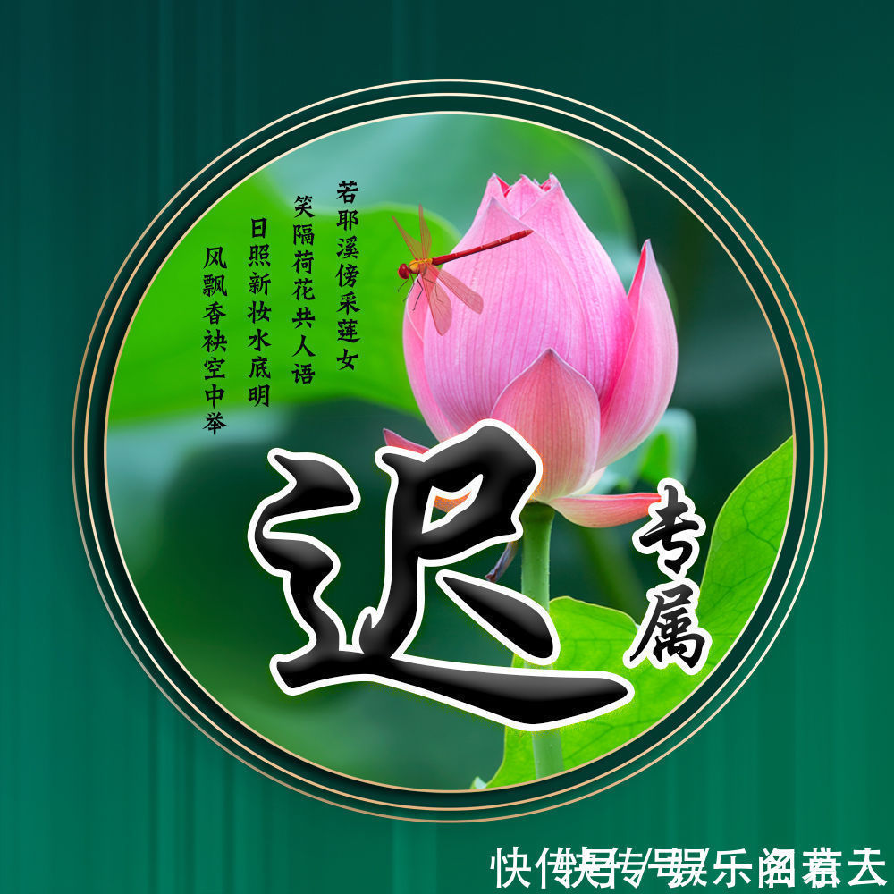 世人大!用你的姓氏当头像,20张唯美荷花大气图片,中国风华丽登场