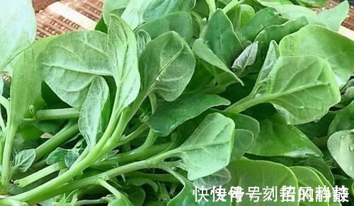 白菜|人到中年,不妨多吃3种食物,滋肝明目、推迟衰老,谁吃谁健康