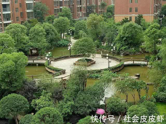 绿化|新房一定比二手房好?遇到这种二手房就下手吧,很值!