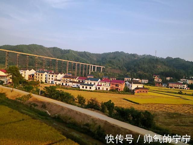 秋韵#【七绝·秋韵】清风伴我不孤行,晨起轩窗有鸟鸣
