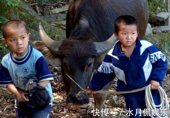 父母|农村俗语“老人是条龙,向谁谁家穷”,此话并非迷信,有现实依据