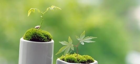 经典!《增广贤文》经典6句,讲透人生哲学,说尽处世之道