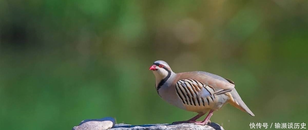 题目|元代著名画家的一首小令，美得心醉，从开篇美到结尾，连题目都美