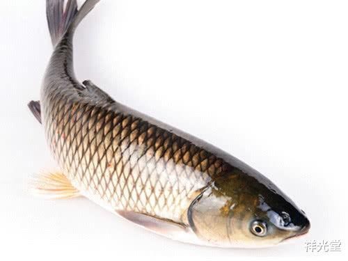 洗头|头没洗两天,指甲缝总能抠出“白泥”,原因简单,很多人容易忽视