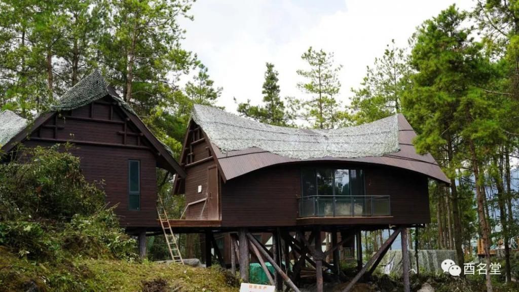 修树屋、帐篷酒店、无边泳池……金银山上在悄悄咪咪干大事