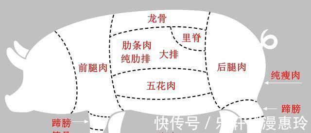 肉馅|肉馅怎样调味好吃