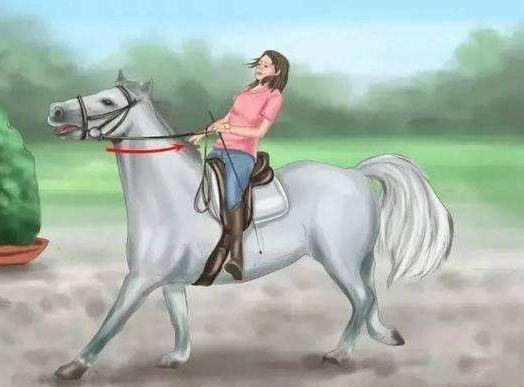 河洛精蕴|胃不好,多喝二水,少吃三菜,记住4个动作,胃炎轻易“不上门”